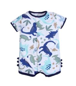 Baby Dinosaurs Suit